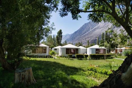 a group of tents in a field with mountains in the background at Semba retreat in Hundar
