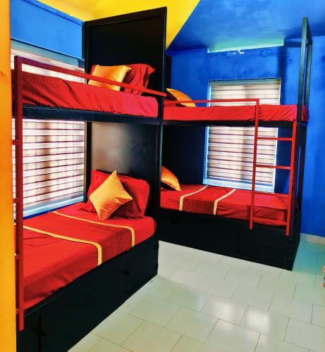 two bunk beds in a room with red and blue walls at Avenue Dorms in Kalpetta