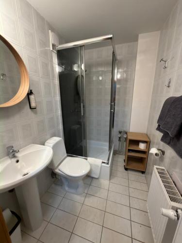 a bathroom with a shower and a toilet and a sink at Morena in Klaipėda