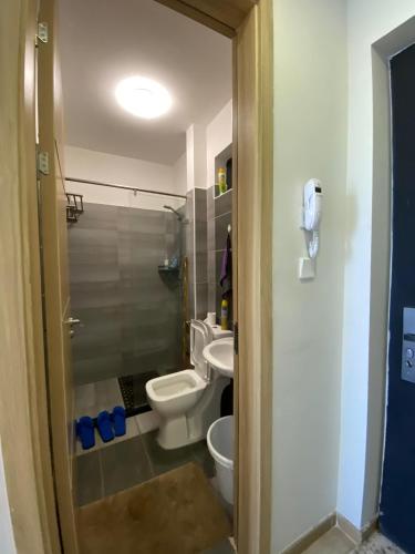 a bathroom with a toilet and a sink at Staunch Homes Luxury Studio Apartment in Nairobi