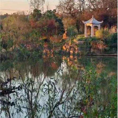 a painting of a gazebo in the middle of a lake at 天天绘住 in Xianzong