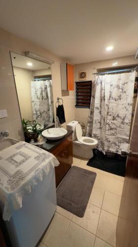 łazienka z toaletą, umywalką i wanną w obiekcie Central Elegance w mieście Suva
