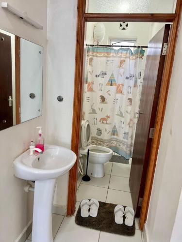 a bathroom with a sink and a toilet and a shower at Leona Homes in Mombasa