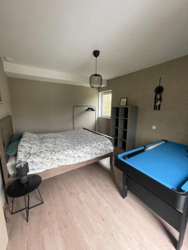 a bedroom with a bed and a pool table at Barsy La belle des champs in Havelange