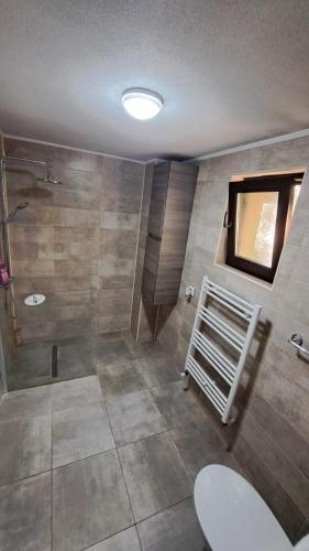 a bathroom with a shower and a toilet and a sink at Casa 3 Catei Veseli in Seciu