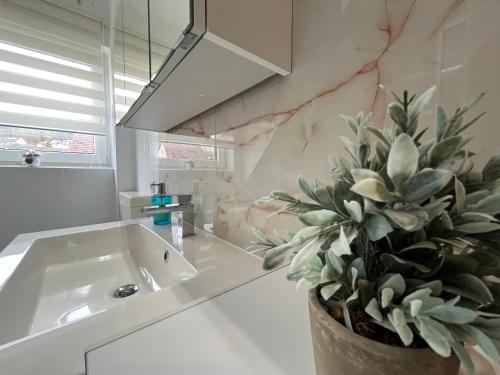 a bathroom with a sink and a potted plant at Ferienwohnung Balkon Grupe in Stadtoldendorf