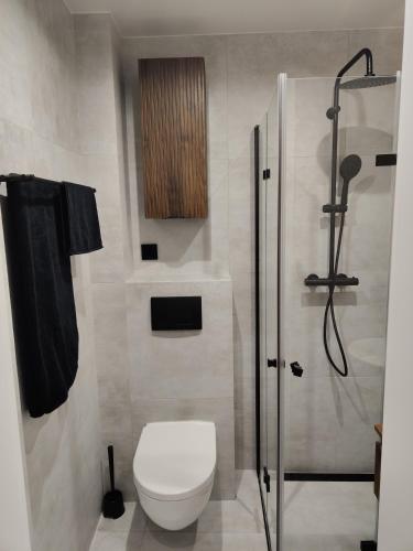 a bathroom with a toilet and a shower at Studio 27 in Zabrze