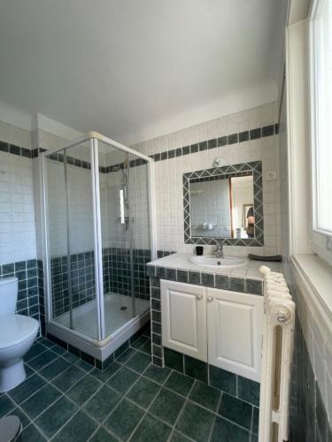 a bathroom with a shower and a sink and a toilet at l'hacienda in Ustaritz