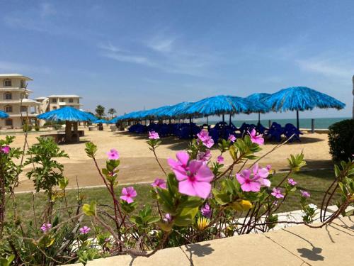 Gallery image of Fanara Apartments Armed Forces in Fayed