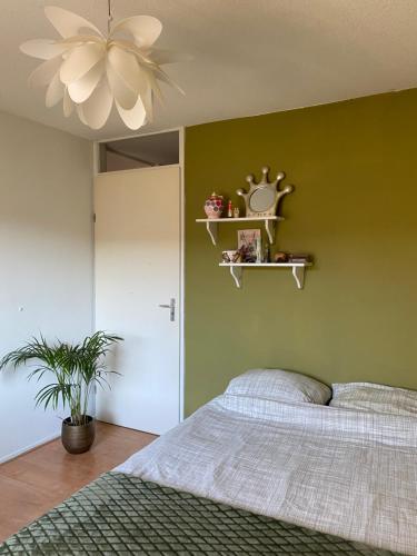 a bedroom with a bed and a green wall at Great House for Two in Amsterdam in Amsterdam