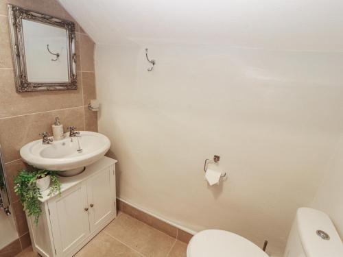 a bathroom with a sink and a toilet and a mirror at River Cottage in Penrith
