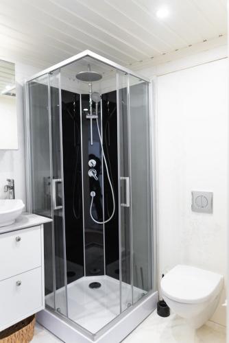a glass shower in a bathroom with a toilet at Toftenäs apartment in Toftenäs