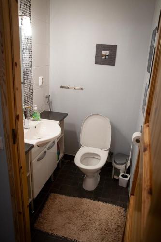 a bathroom with a white toilet and a sink at Koliwood A in Kolinkylä