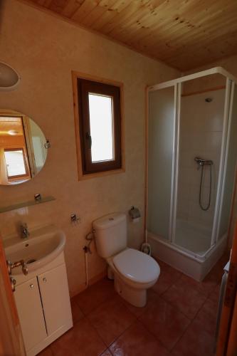 a bathroom with a toilet and a shower and a sink at Camping Valle de Hecho in Hecho