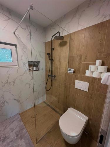 a bathroom with a shower and a toilet at Mountain Paradise Apartment in Zgornje Gorje