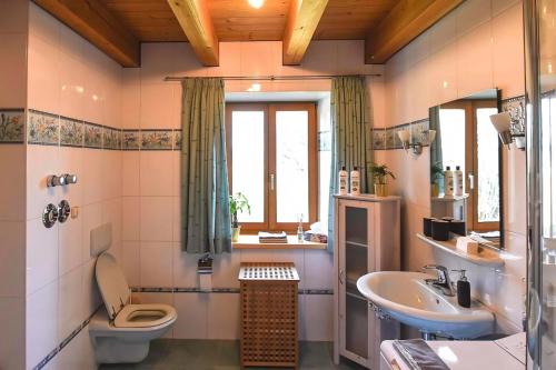 a bathroom with a sink and a toilet and a window at Charmante Chiemgauwohnung in Wasserburg am Inn