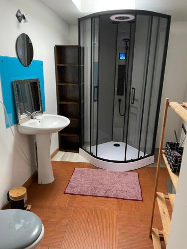 a bathroom with a shower and a sink at « Le temps d’un instant » dépendance in Solre-le-Château