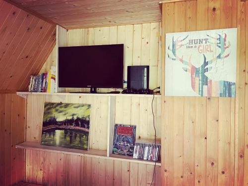 een kamer met een tv aan een houten muur bij Vrch Varta in Ružomberok