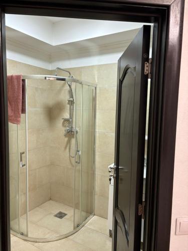 a shower with a glass door in a bathroom at Pensiunea Casa Petrovai in Sighetu Marmaţiei