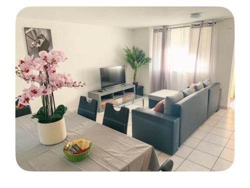 Locarno Centro Apartments