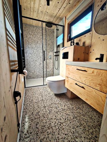 a bathroom with a toilet and a sink and a shower at Domek Fika in Laskowa