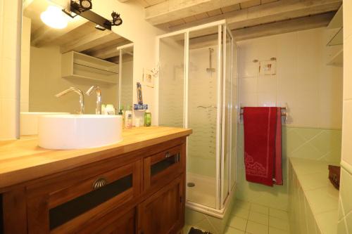 a bathroom with a sink and a shower at Duplex Sainte Trinité - Troyes Centre Historique in Troyes