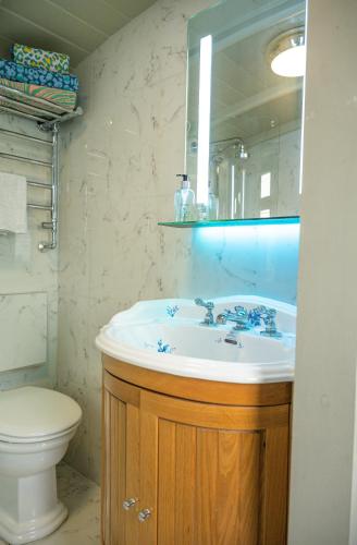 a bathroom with a sink and a toilet at Helmsley Garden Cottage & Railway Carriage in Helmsley