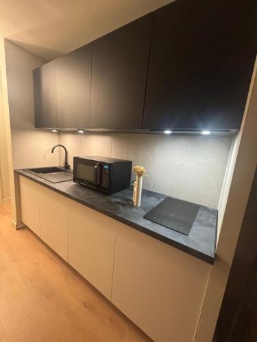 Una encimera de cocina con un microondas y un fregadero. en Morucci, en Bastia