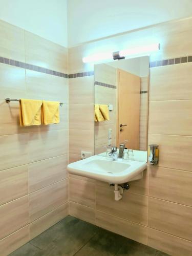 a bathroom with a sink and a mirror at Pension RoBi in Harthofen