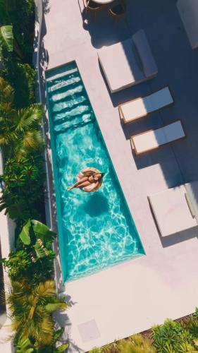 an overhead view of a swimming pool with a turtle in the water at Tropical Garden on City Center in Funchal