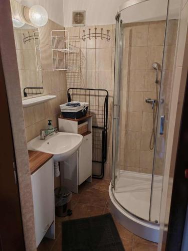 a bathroom with a sink and a shower at Gemenc - Lak in Baja
