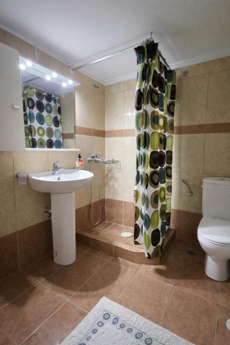 a bathroom with a sink and a toilet and a shower at Vasilikis Place in Elafonisos