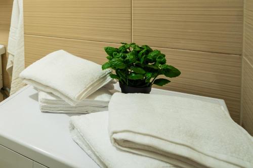 a pile of towels and a potted plant on a table at Pit Stop Centrum in Ploieşti