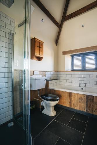 a bathroom with a toilet and a sink and a bath tub at Swallows Nest at Widemouth Bay - 2 bedroom cottage both rooms twin or king in Bude
