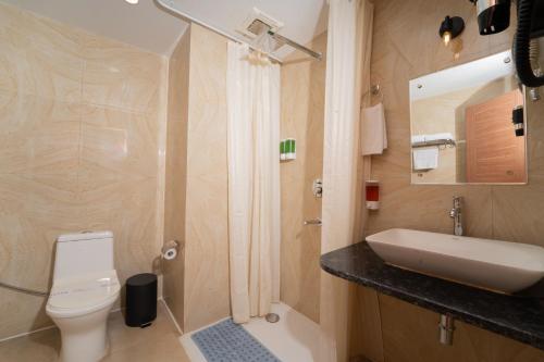 a bathroom with a sink and a toilet at The Royal Bihar in Patna