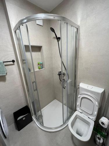 a shower stall in a bathroom with a toilet at Apartman A-lux in Blato