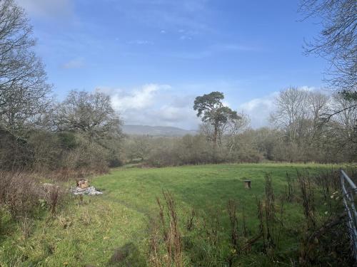 a person laying in the grass in a field at The Punchbowl Inn in Dorking