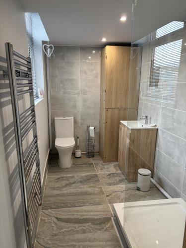 a bathroom with a toilet and a sink at The old surgery in Rhymney
