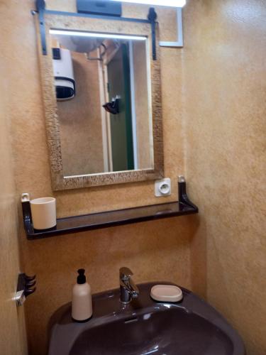a bathroom with a sink and a mirror at Appartement calme in Eaux-Bonnes