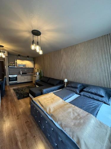 CITY CENTRAL VIP APARTMANT WITH FREE PRIVATE PARKINg