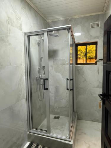 a shower with a glass door in a bathroom at Sazeesha Apartments in Ndola