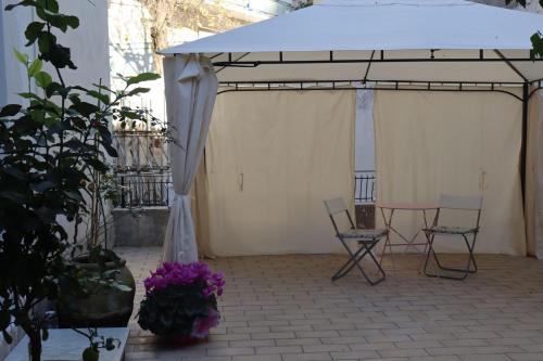 The Terrace Garden