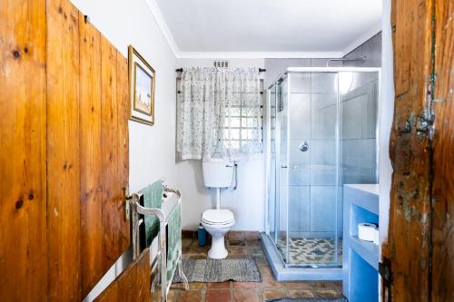 a bathroom with a toilet and a glass shower at Dorpsig Cottage in Paarl