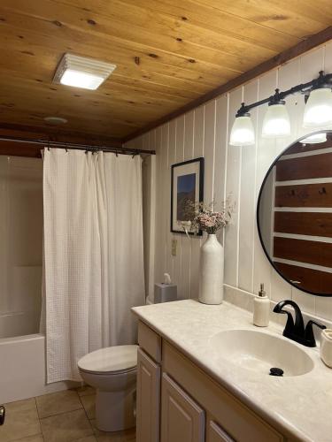 a bathroom with a sink and a toilet and a mirror at Hemlock Hill Cabin in Blowing Rock