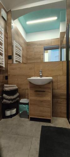 a bathroom with a sink and wooden walls at Apartament u Piotrusia i Paulinki in Stronie Śląskie