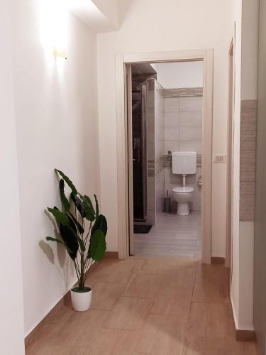 a bathroom with a toilet and a potted plant at Blossom House in Isola delle Femmine