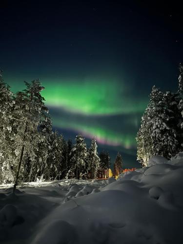 an aurora in the sky over a snow covered forest at Santa Elves Cabin in Rovaniemi