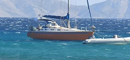 Naturlandskabet i nærheden af båden