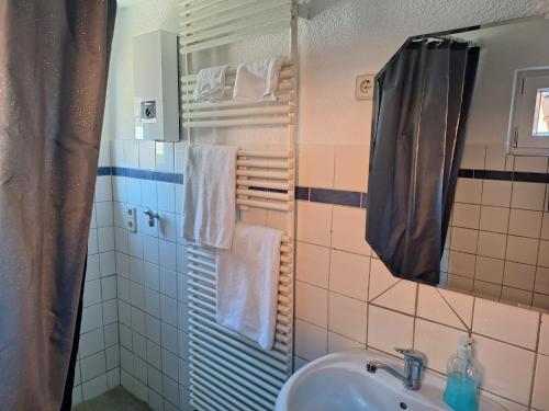 a bathroom with a sink and a mirror at Delblaiso Suite in Memmingen