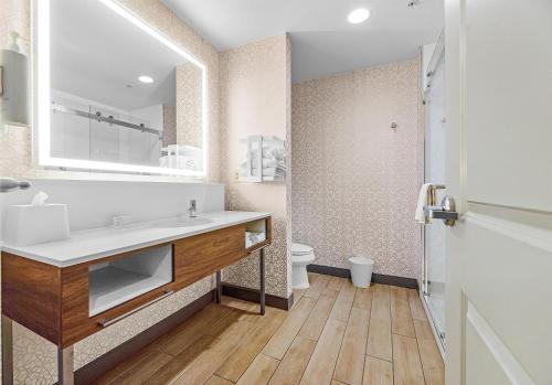 a bathroom with a sink and a toilet at Hampton Inn & Suites New Braunfels in New Braunfels